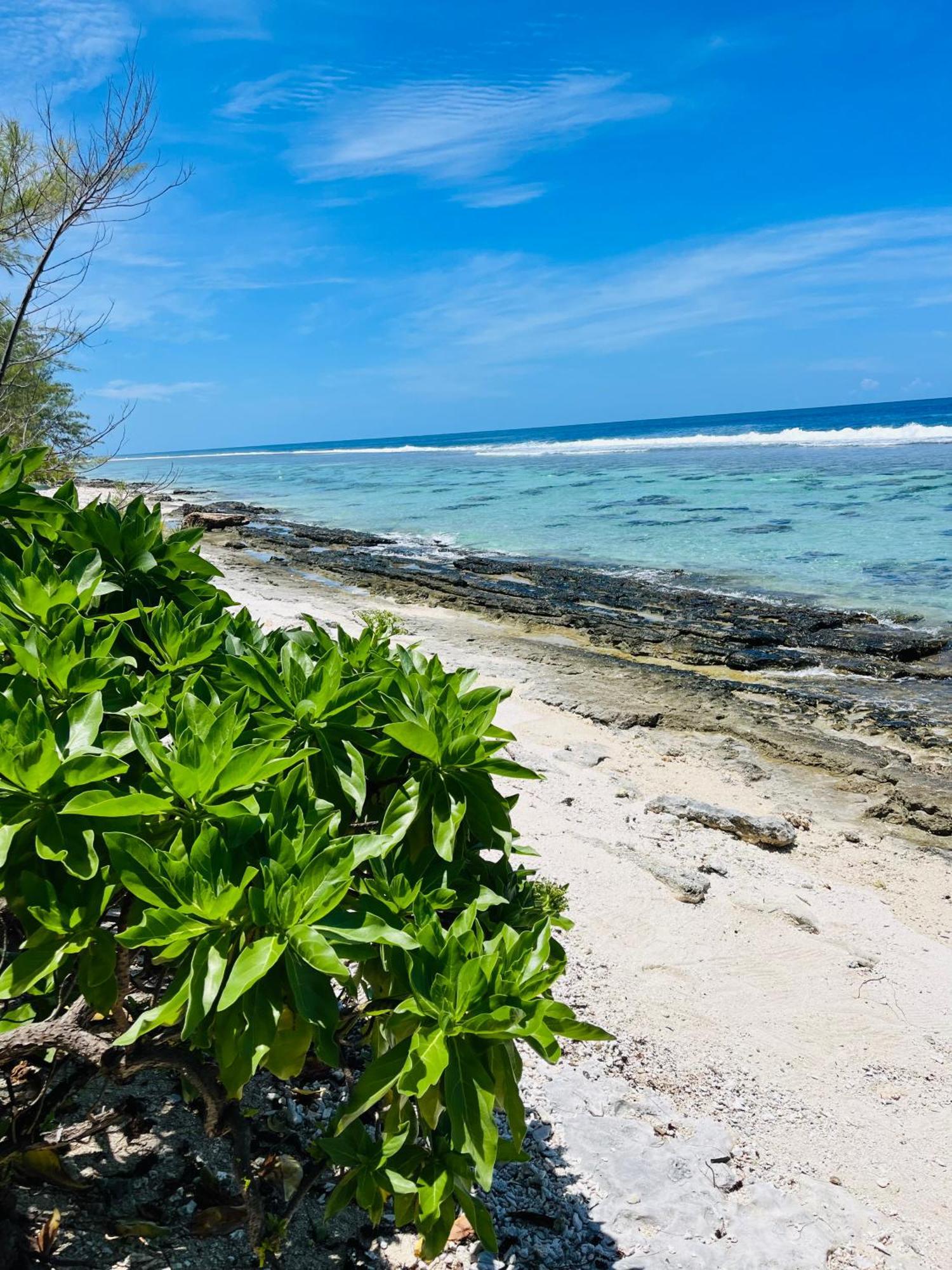 Bungalow Kura Villa Moorea Exterior photo